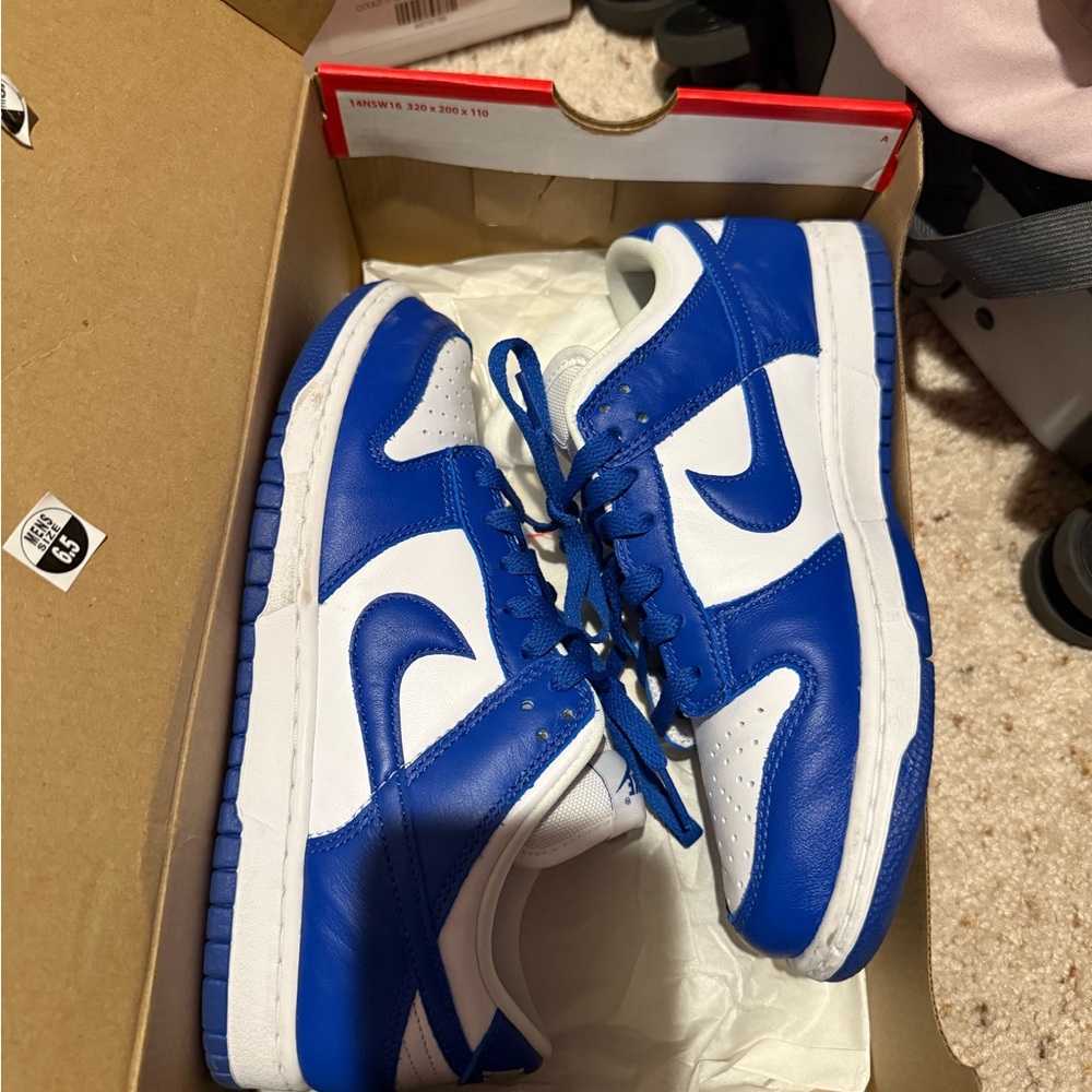 Nike Blue and White Dunks